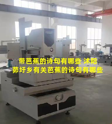 带芭蕉的诗句有哪些 沭阳茆圩乡有关芭蕉的诗句有哪些